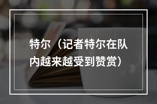 特尔（记者特尔在队内越来越受到赞赏）