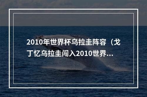 2010年世界杯乌拉圭阵容（戈丁忆乌拉圭闯入2010世界杯那段艰难经历铸就后来的辉煌成就）