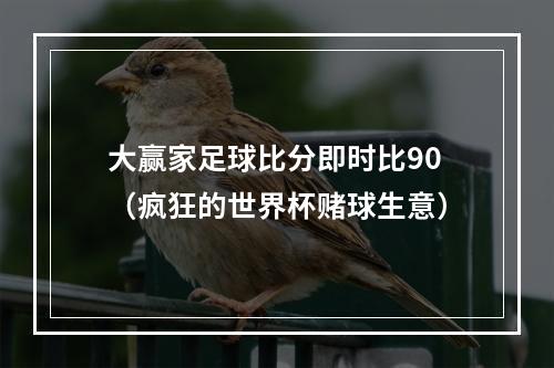 大赢家足球比分即时比90（疯狂的世界杯赌球生意）