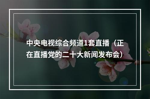 中央电视综合频道1套直播（正在直播党的二十大新闻发布会）