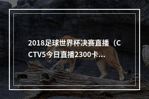 2018足球世界杯决赛直播（CCTV5今日直播2300卡塔尔世界杯决赛阿根廷法国）