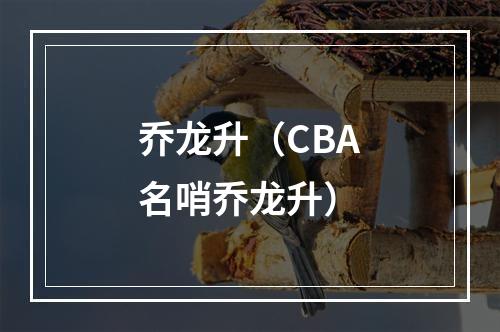 乔龙升（CBA名哨乔龙升）