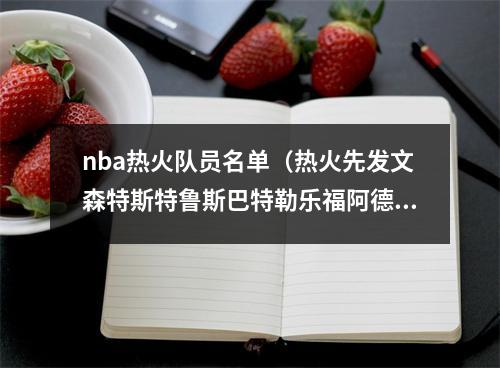 nba热火队员名单（热火先发文森特斯特鲁斯巴特勒乐福阿德巴约）