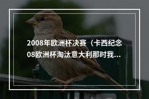 2008年欧洲杯决赛（卡西纪念08欧洲杯淘汰意大利那时我就知道我们能夺冠）