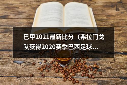 巴甲2021最新比分（弗拉门戈队获得2020赛季巴西足球甲级联赛冠军）