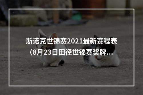 斯诺克世锦赛2021最新赛程表（8月23日田径世锦赛奖牌榜及赛程出炉 中国第20 刘诗颖王嘉男出赛）