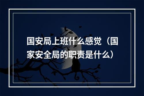 国安局上班什么感觉（国家安全局的职责是什么）