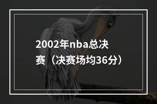 2002年nba总决赛（决赛场均36分）