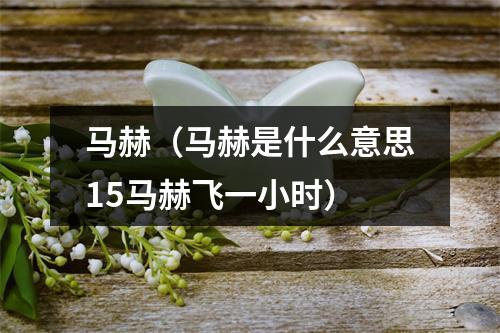 马赫（马赫是什么意思15马赫飞一小时）