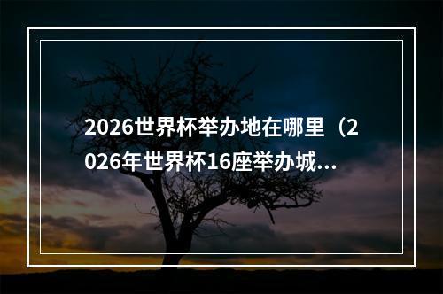 2026世界杯举办地在哪里（2026年世界杯16座举办城市揭晓首次扩军至48队）