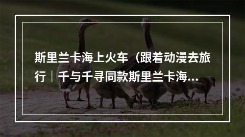 斯里兰卡海上火车（跟着动漫去旅行｜千与千寻同款斯里兰卡海上火车）