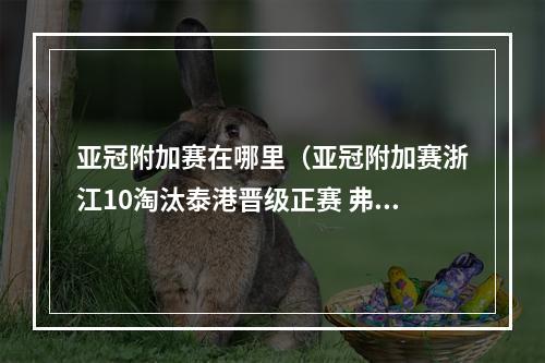 亚冠附加赛在哪里（亚冠附加赛浙江10淘汰泰港晋级正赛 弗兰克轰世界波一锤定音）