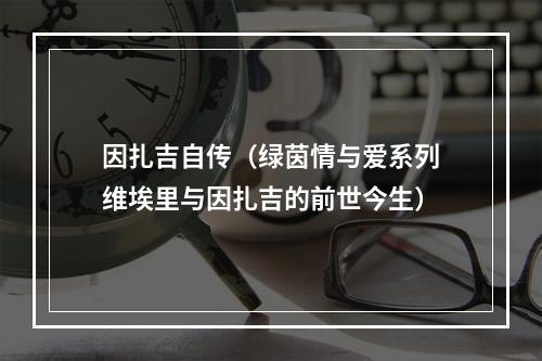 因扎吉自传（绿茵情与爱系列维埃里与因扎吉的前世今生）