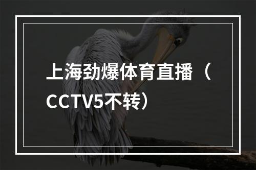 上海劲爆体育直播（CCTV5不转）