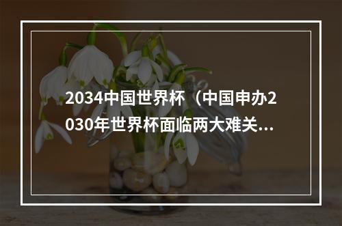 2034中国世界杯（中国申办2030年世界杯面临两大难关）