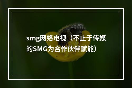 smg网络电视（不止于传媒的SMG为合作伙伴赋能）