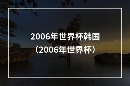 2006年世界杯韩国（2006年世界杯）