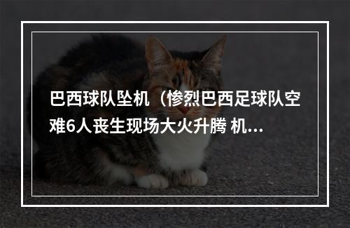 巴西球队坠机（惨烈巴西足球队空难6人丧生现场大火升腾 机体被烧焦）