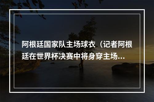 阿根廷国家队主场球衣（记者阿根廷在世界杯决赛中将身穿主场球衣）