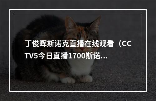 丁俊晖斯诺克直播在线观看（CCTV5今日直播1700斯诺克世锦赛凯伦威尔逊vs丁俊晖）