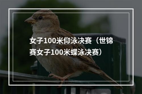 女子100米仰泳决赛（世锦赛女子100米蝶泳决赛）