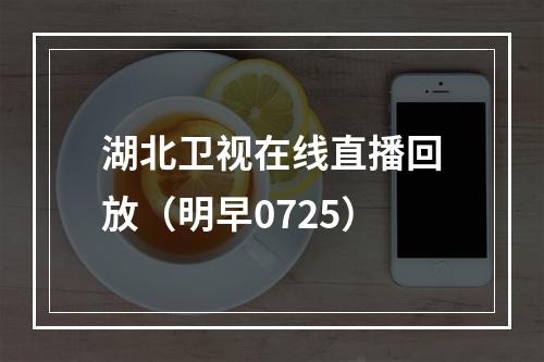 湖北卫视在线直播回放（明早0725）