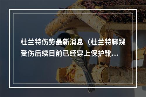 杜兰特伤势最新消息（杜兰特脚踝受伤后续目前已经穿上保护靴锡安脚筋伤势正在恢复）