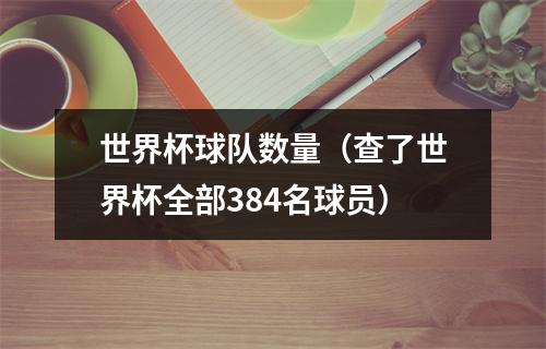 世界杯球队数量（查了世界杯全部384名球员）