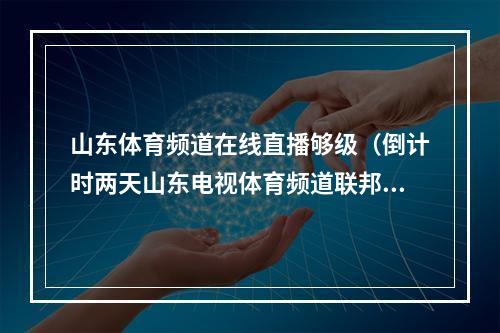 山东体育频道在线直播够级（倒计时两天山东电视体育频道联邦大作战15日首播）