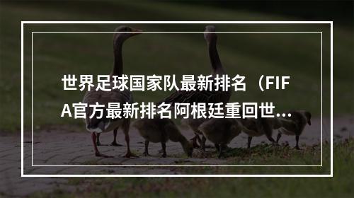 世界足球国家队最新排名（FIFA官方最新排名阿根廷重回世界第1 中国男足世界第81亚洲第11）