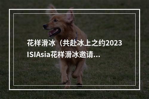 花样滑冰（共赴冰上之约2023ISIAsia花样滑冰邀请赛9日开赛）