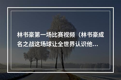 林书豪第一场比赛视频（林书豪成名之战这场球让全世界认识他真是一战名扬天下）