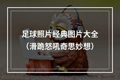 足球照片经典图片大全（滑跪怒吼奇思妙想）