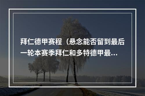 拜仁德甲赛程（悬念能否留到最后一轮本赛季拜仁和多特德甲最后4轮赛程）