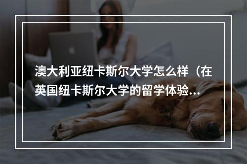 澳大利亚纽卡斯尔大学怎么样（在英国纽卡斯尔大学的留学体验）