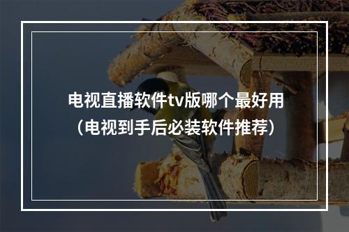 电视直播软件tv版哪个最好用（电视到手后必装软件推荐）