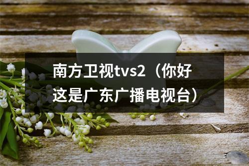 南方卫视tvs2（你好这是广东广播电视台）