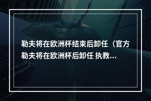 勒夫将在欧洲杯结束后卸任（官方勒夫将在欧洲杯后卸任 执教德国队已长达15年）