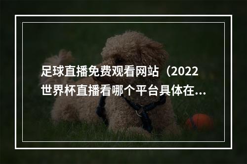 足球直播免费观看网站（2022世界杯直播看哪个平台具体在哪里观看附直播平台）