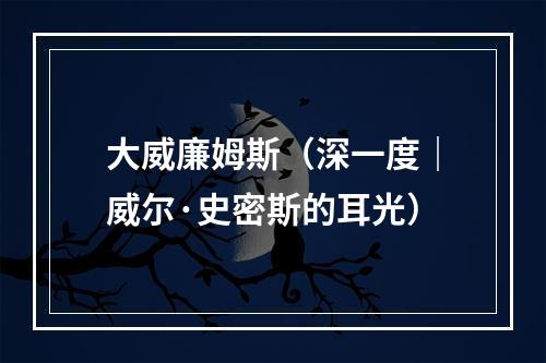 大威廉姆斯（深一度｜威尔·史密斯的耳光）