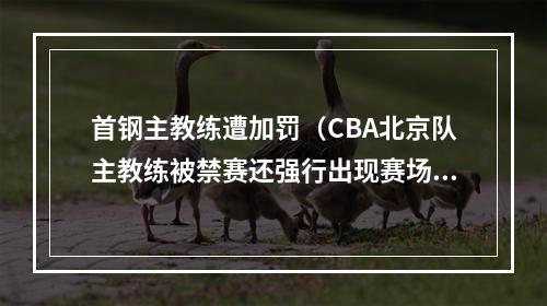 首钢主教练遭加罚（CBA北京队主教练被禁赛还强行出现赛场）