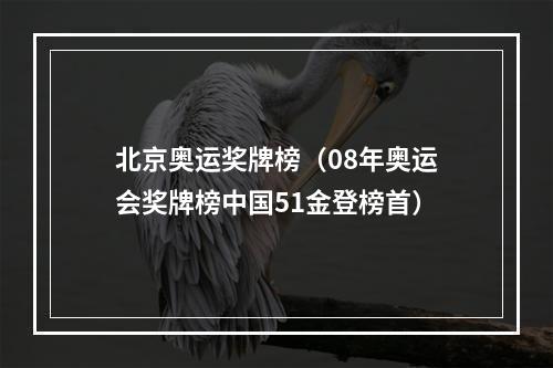 北京奥运奖牌榜（08年奥运会奖牌榜中国51金登榜首）