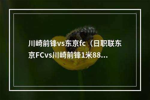 川崎前锋vs东京fc（日职联东京FCvs川崎前锋1米88180公斤重型前锋击溃东京）