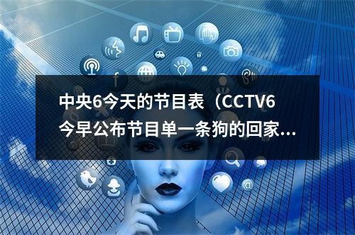 中央6今天的节目表（CCTV6今早公布节目单一条狗的回家路敦刻尔克）