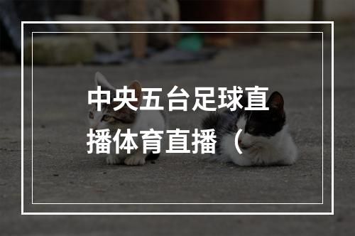 中央五台足球直播体育直播（