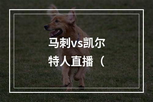 马刺vs凯尔特人直播（