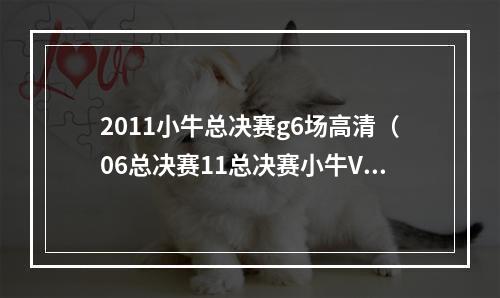 2011小牛总决赛g6场高清（06总决赛11总决赛小牛VS热火诺维茨基韦德每场比赛个人数据）