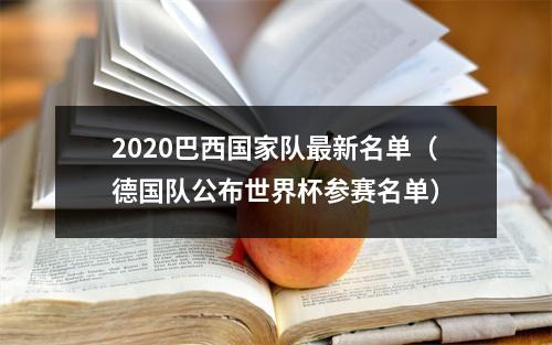 2020巴西国家队最新名单（德国队公布世界杯参赛名单）