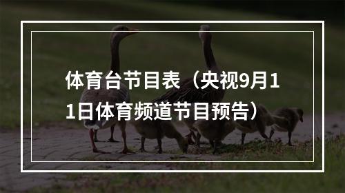 体育台节目表（央视9月11日体育频道节目预告）