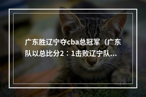 广东胜辽宁夺cba总冠军（广东队以总比分2∶1击败辽宁队 夺得本赛季CBA总冠军）